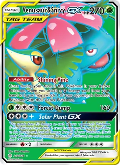 Venusaur & Snivy GX
