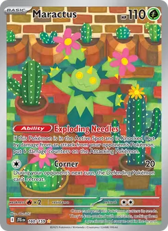 Maractus