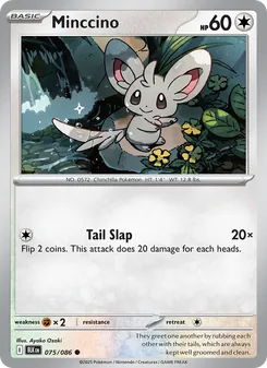 Minccino