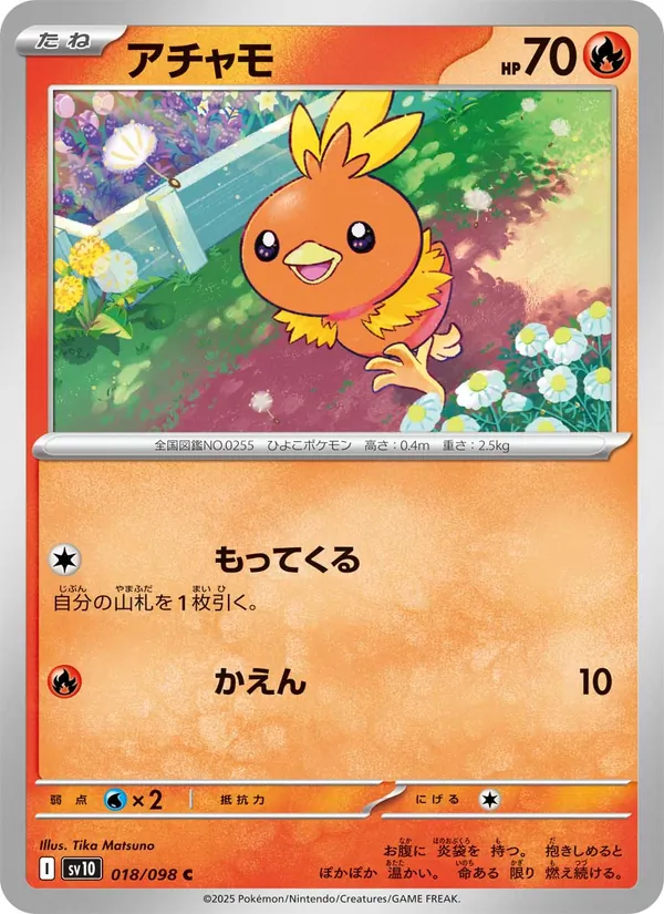 Torchic
