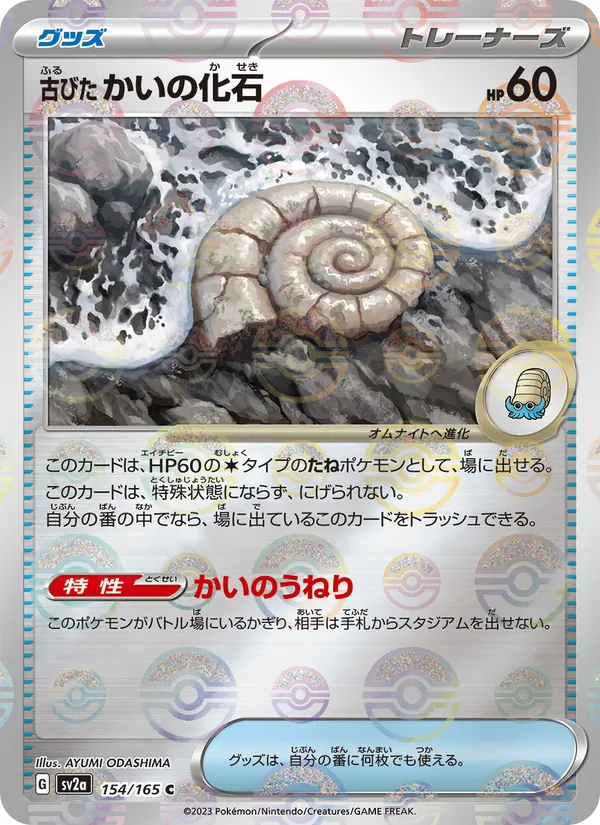 Antique Helix Fossil