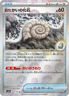 Antique Helix Fossil